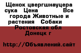 Щенок цвергшнауцера сука › Цена ­ 25 000 - Все города Животные и растения » Собаки   . Ростовская обл.,Донецк г.